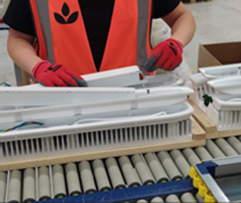 Dutch Lighting Innovations Holding B.V.